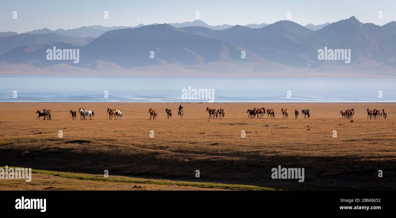 Nomaden, Song Köl See, Song Köl Nationalpark, Kirgisistan Stock Photo