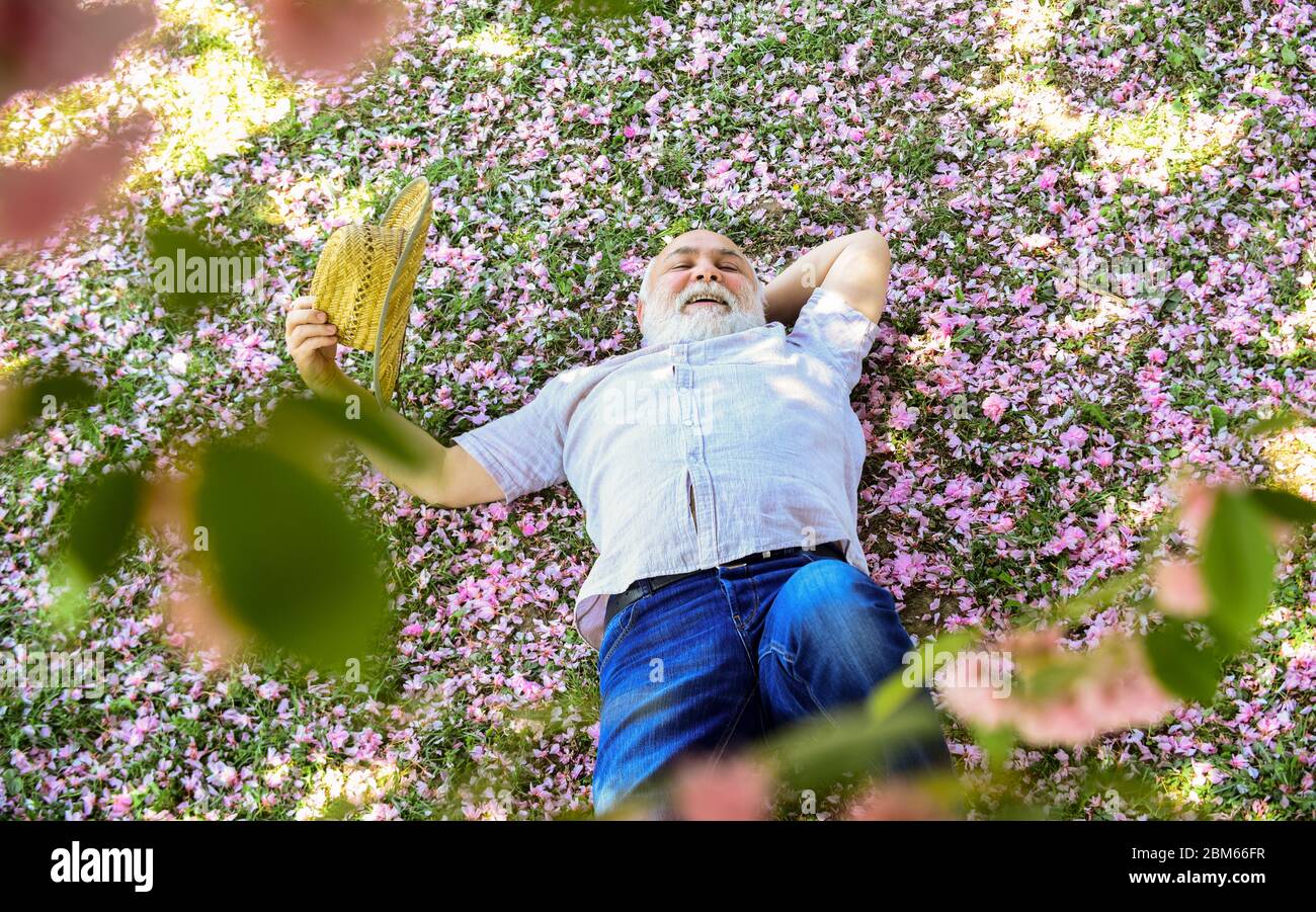 Perfect Spring Day Beautiful Spring Day Wallpaper Download Free Enjoy The Warmth Of