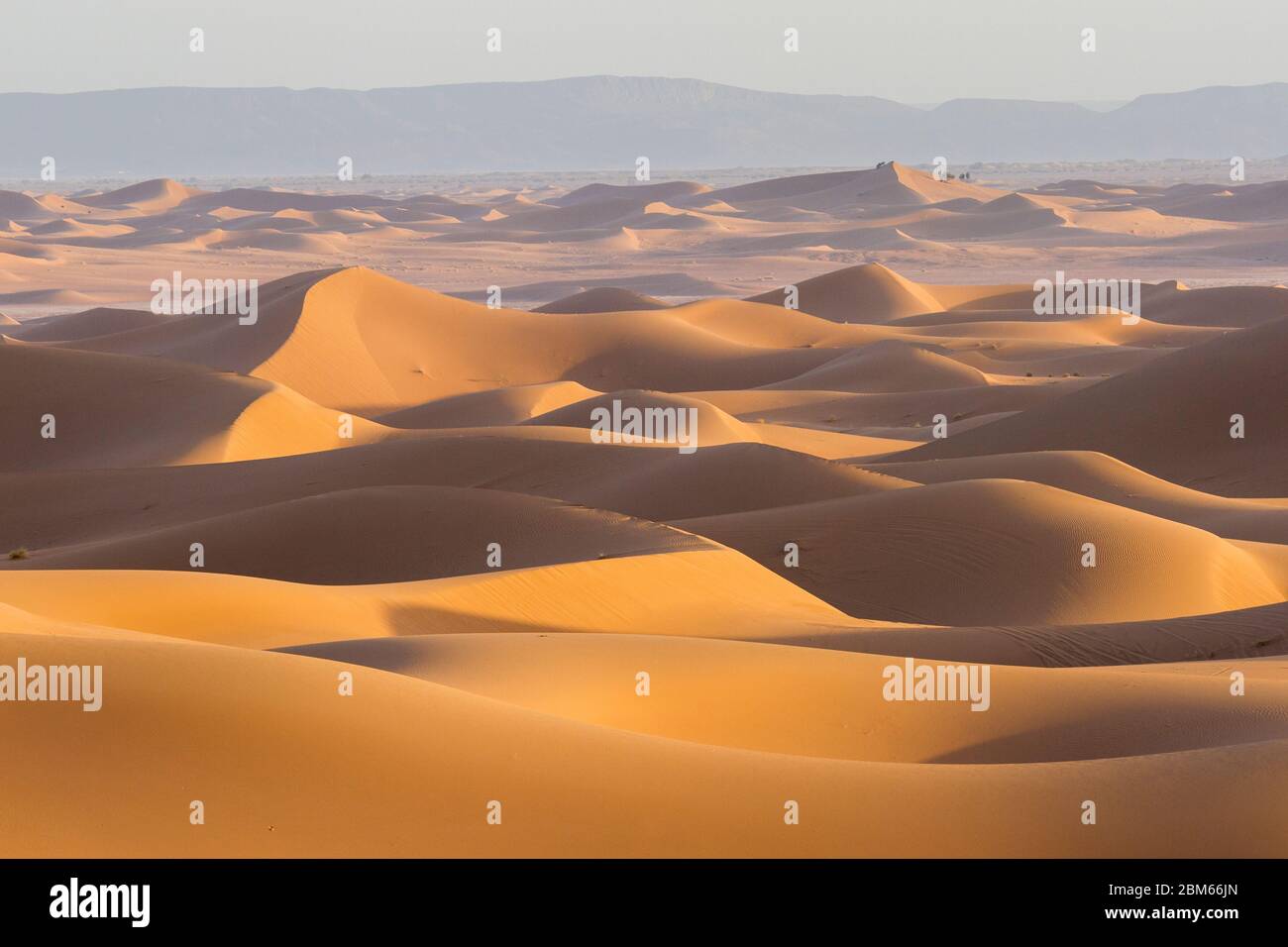 Sanddünen, Erg Chigaga, Sahara, Marokko Stock Photo