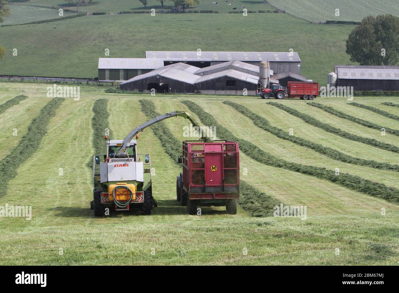 Howardian Hills, Brandsby, North Yorkshire. 7th May 2020. Farmers busy harvesting and collecting silage crop in fine weather across the North of England ahead of the Bank Holiday weekend. Credit: Matt Pennington / Alamy Live News. Stock Photo