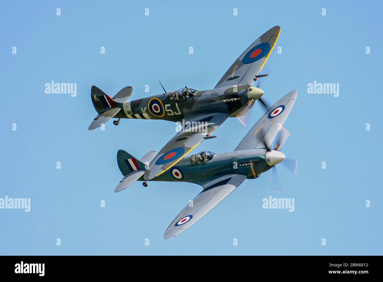 FILE 7th May 2020. Pic taken Yeovilton Somerset 26th July 2014 a pair