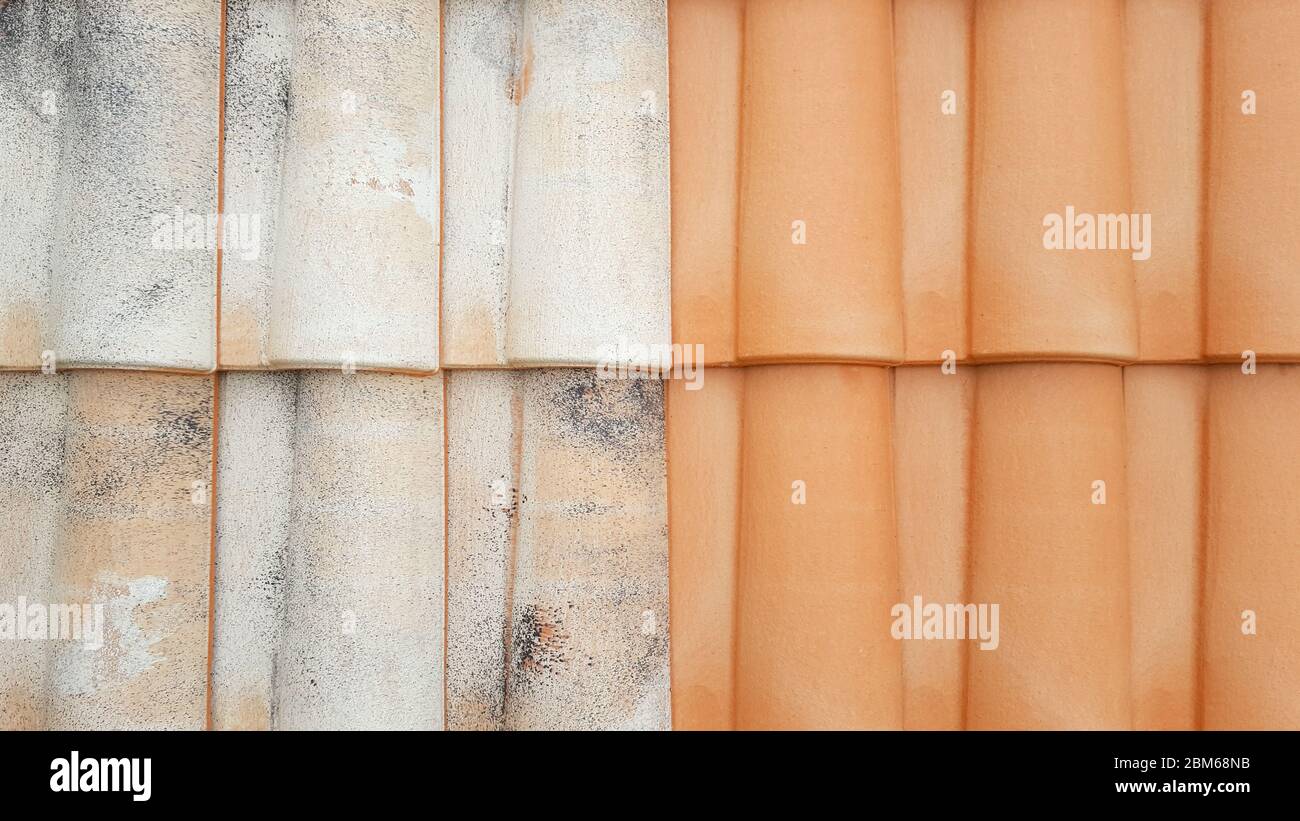 Side by side comparison of moss and lichen before and after cleaning and roofing job Stock Photo