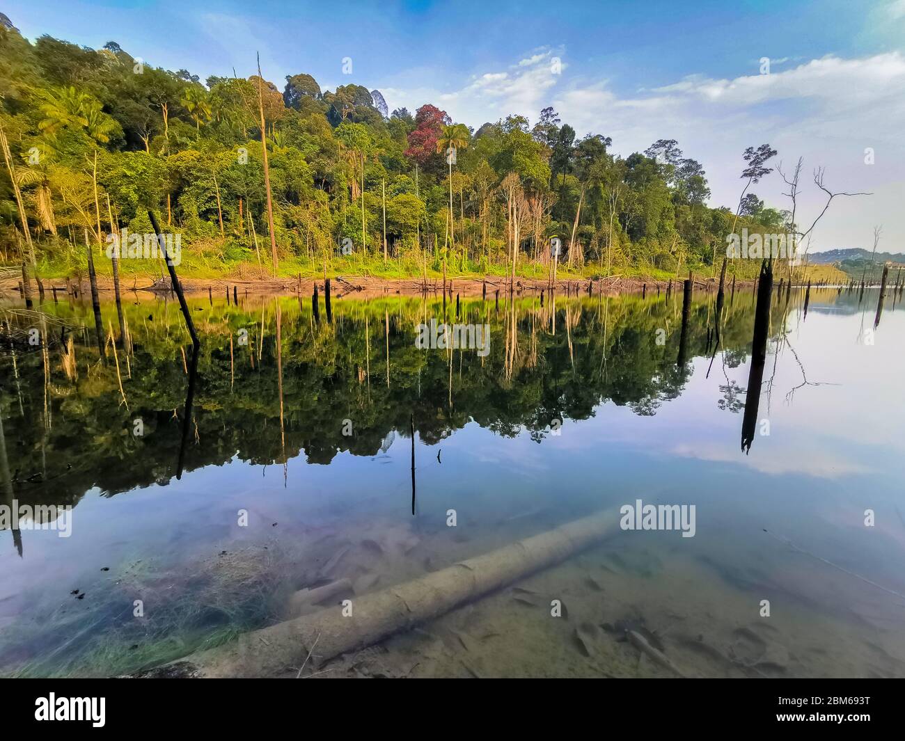 Alam shah mirror lake Sugoi Days: