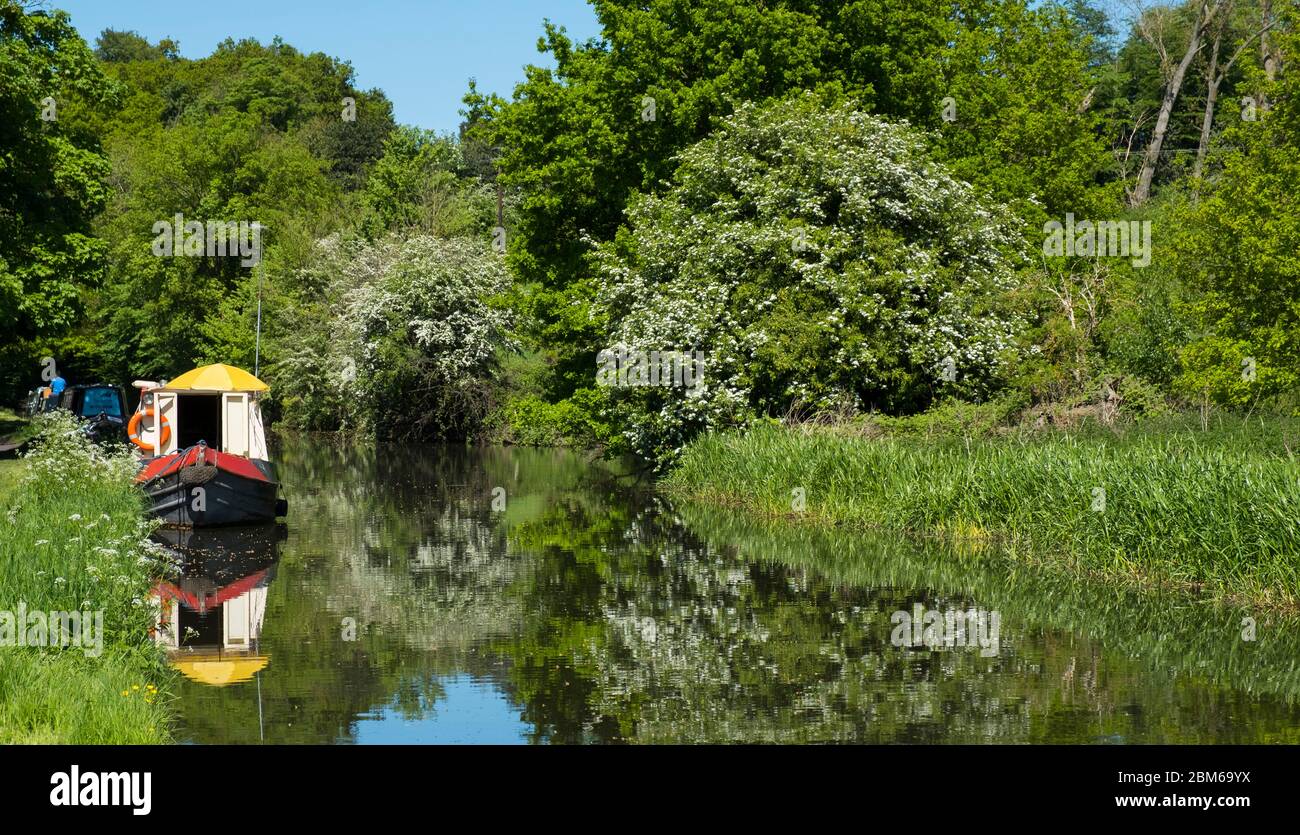 The Staffordshire and Worcestershire Canal near Kidderminster Stock