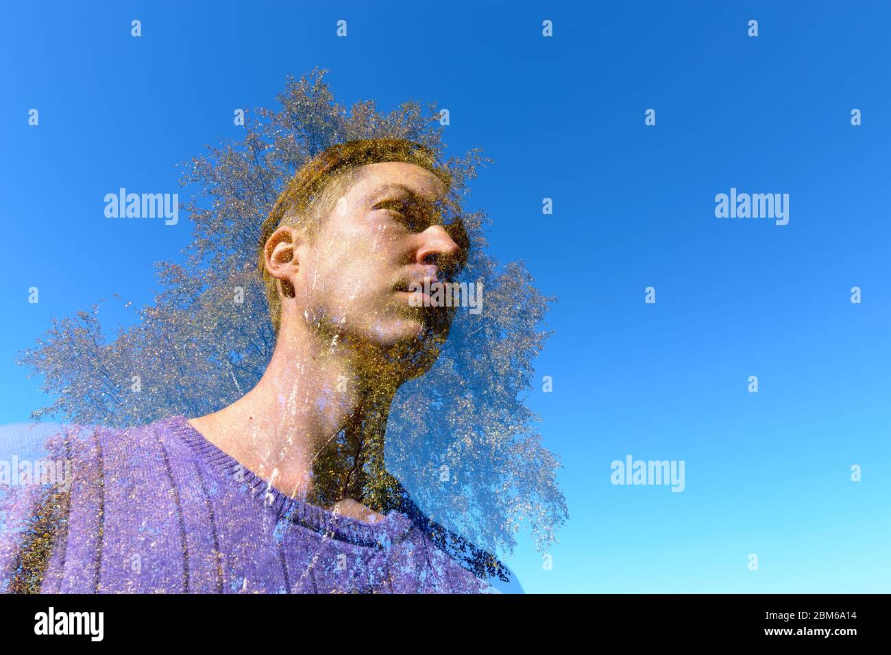 Double exposure man tree hi-res stock photography and images - Alamy