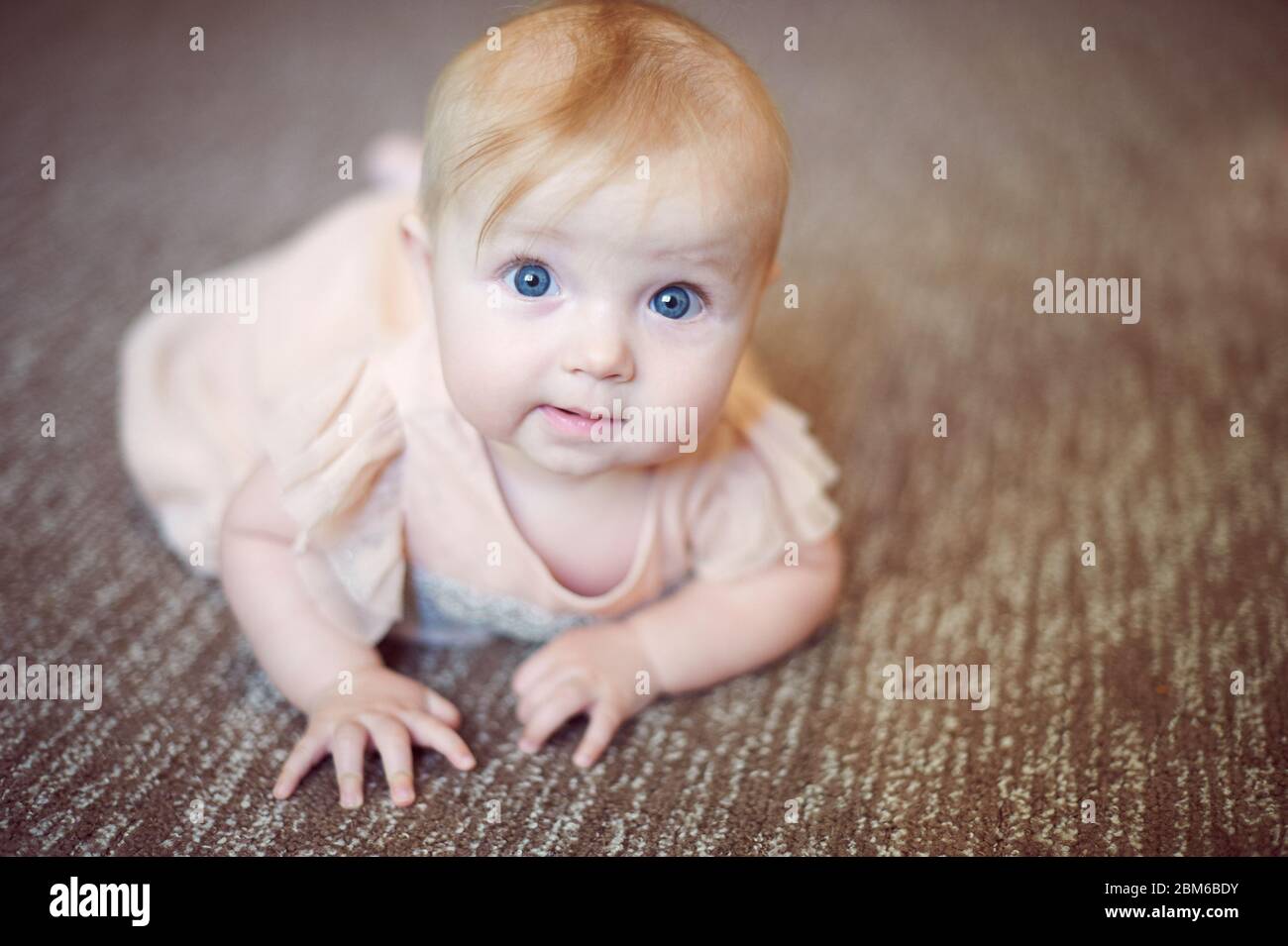 Portrait of a sweet infant baby girl wearing a pink dress in studio Stock Photo
