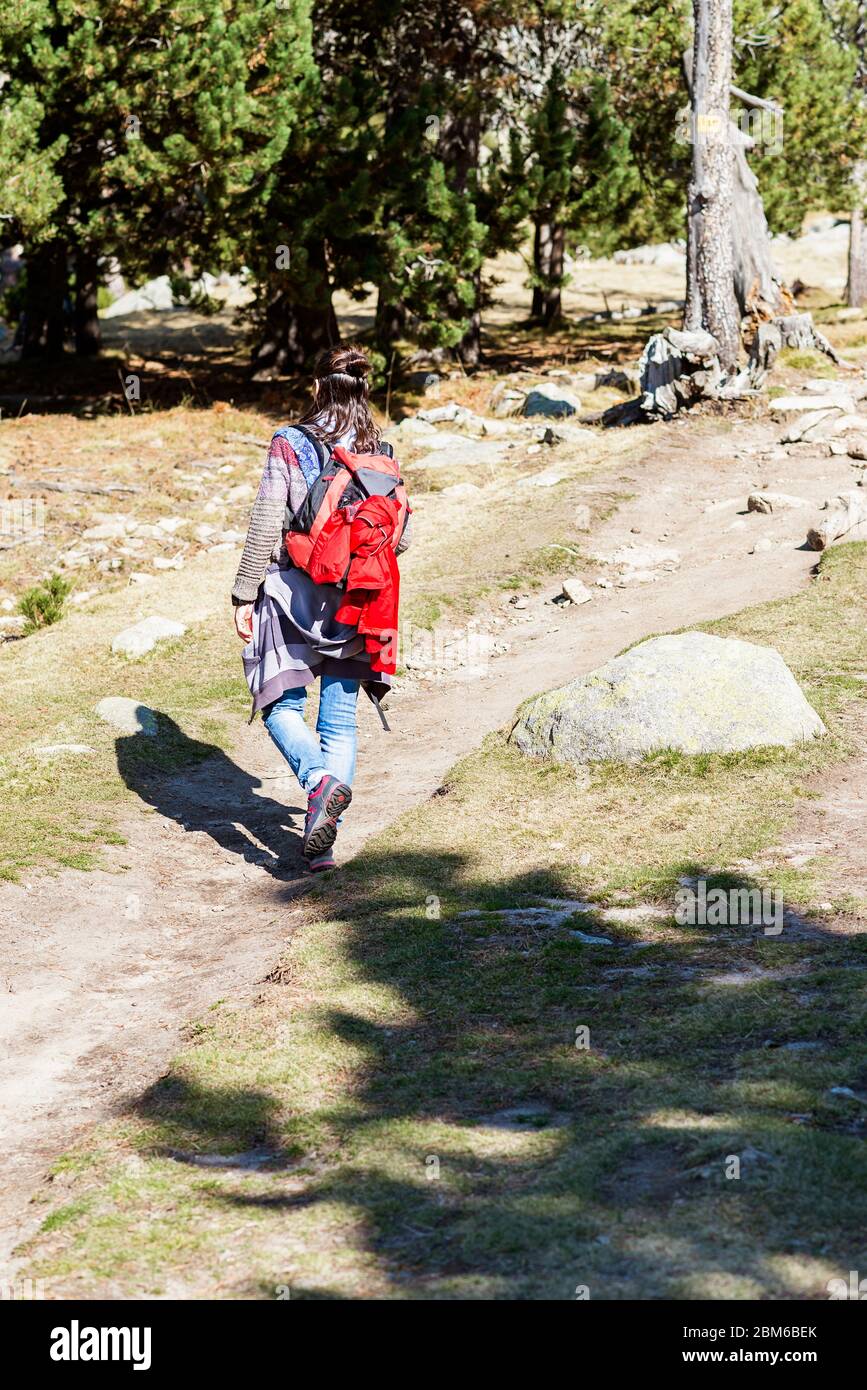 Back view of a backpacker woman walking along the forest trail Stock Photo