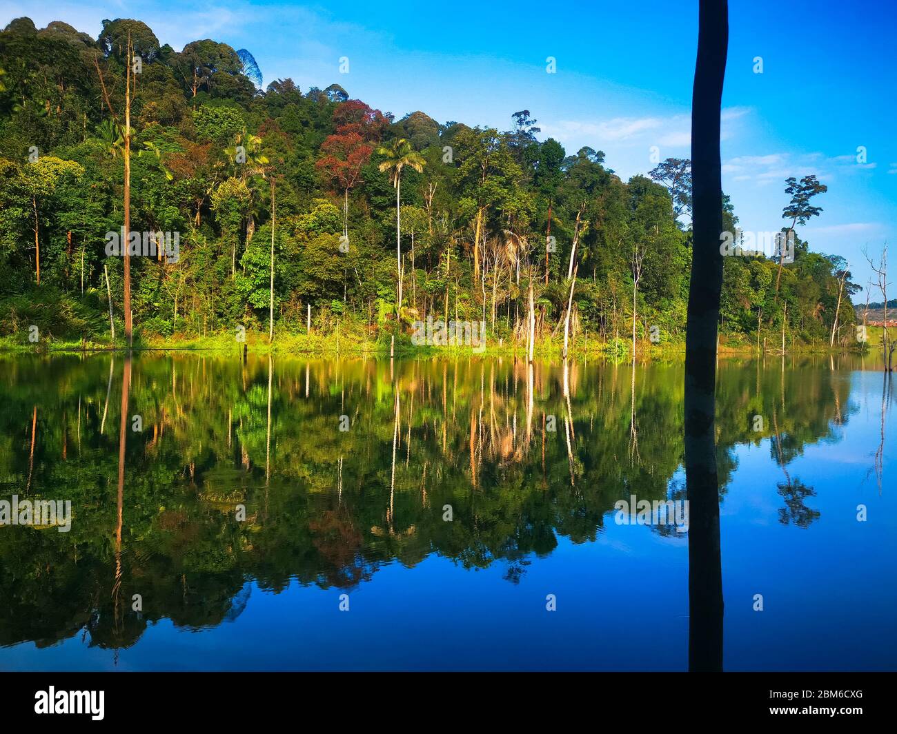 Treeline Reflection On Pond In Bukit Sapu Tangan Hiking Trail Shah Alam Selangor Malaysia Stock Photo Alamy