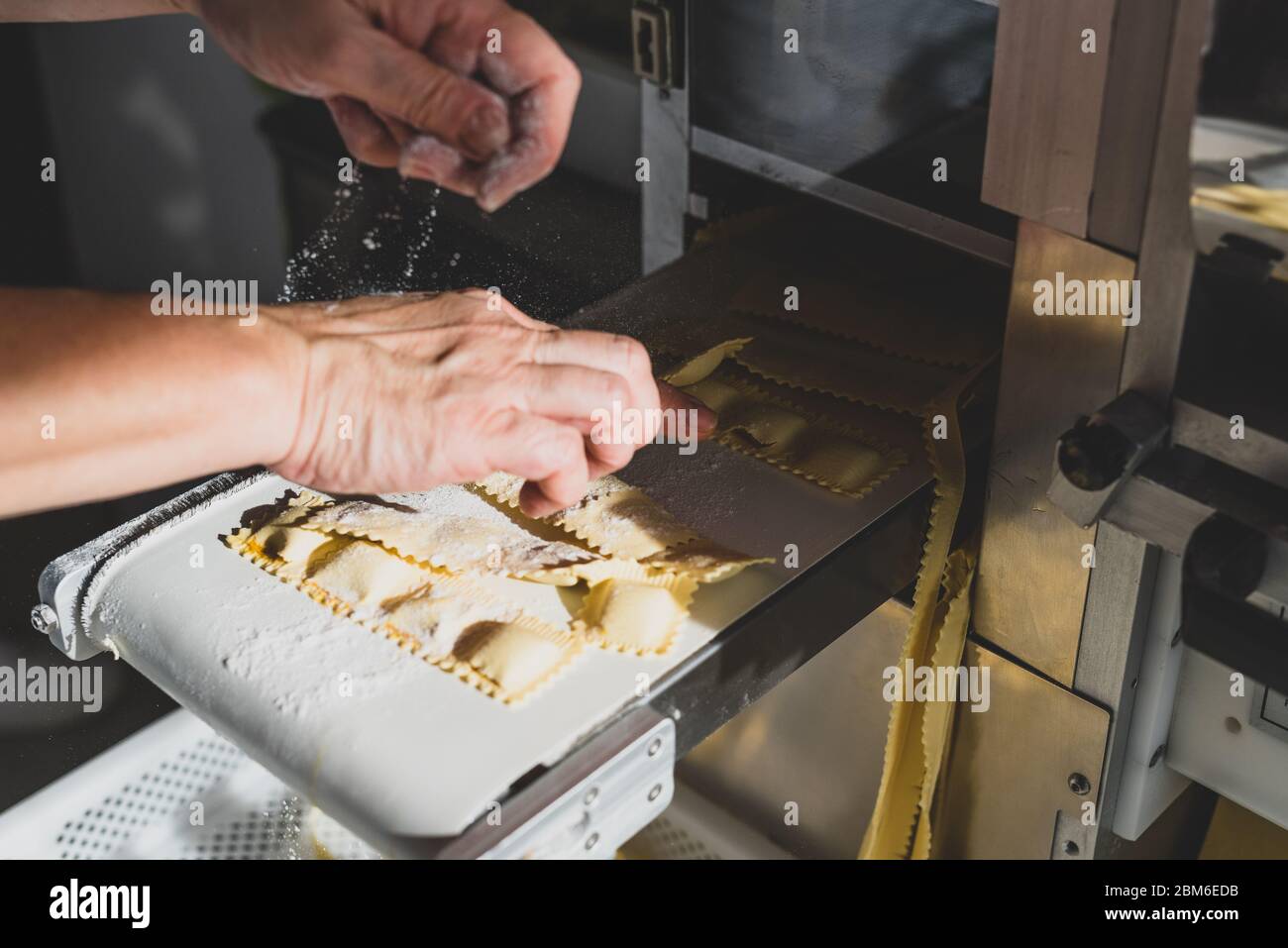 production process of ravioli, tortellini and cappelletti, typical fresh Italian pasta - the hands of the chef flour the ravioli just produced by the Stock Photo