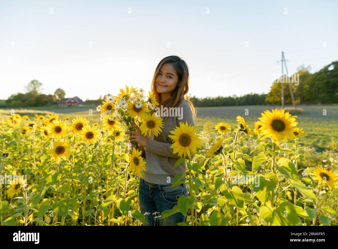 Young beautiful Asian woman holding flowers in the sunflower garden farm Stock Photo