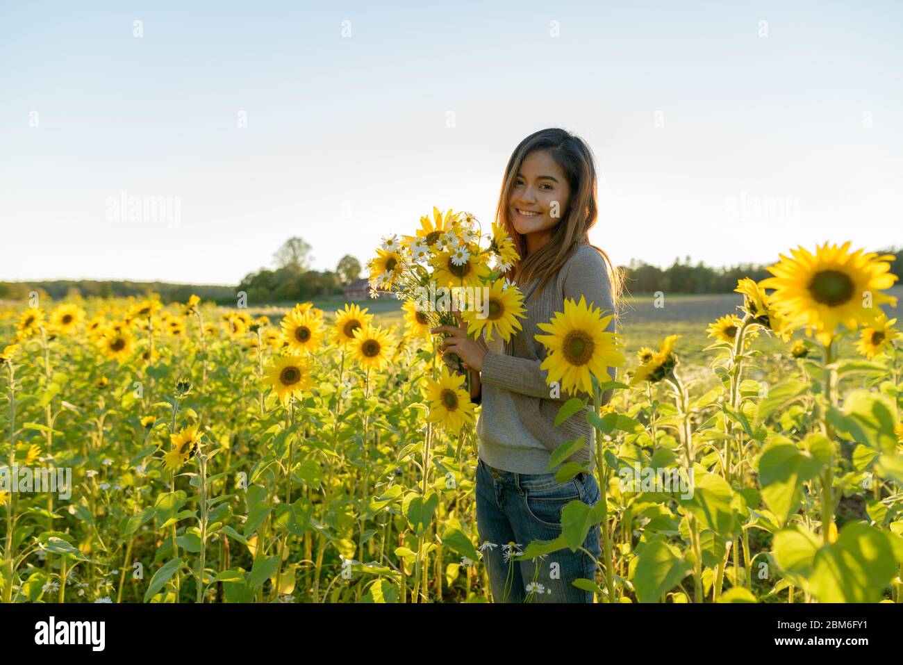 Happy young beautiful Asian woman holding flowers in the sunflower garden farm Stock Photo