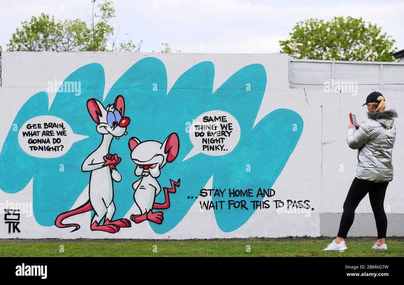 A woman takes pictures of a new mural by Irish artist Emmalene Blake of cartoon characters 'Pinky and the Brain' in South Dublin. This is the latest in the 'Stay At Home' series by the Dublin artist encouraging people to stick to social distancing. Other artists featured have been Dua Lipa, Robyn and Cardi B. Stock Photo