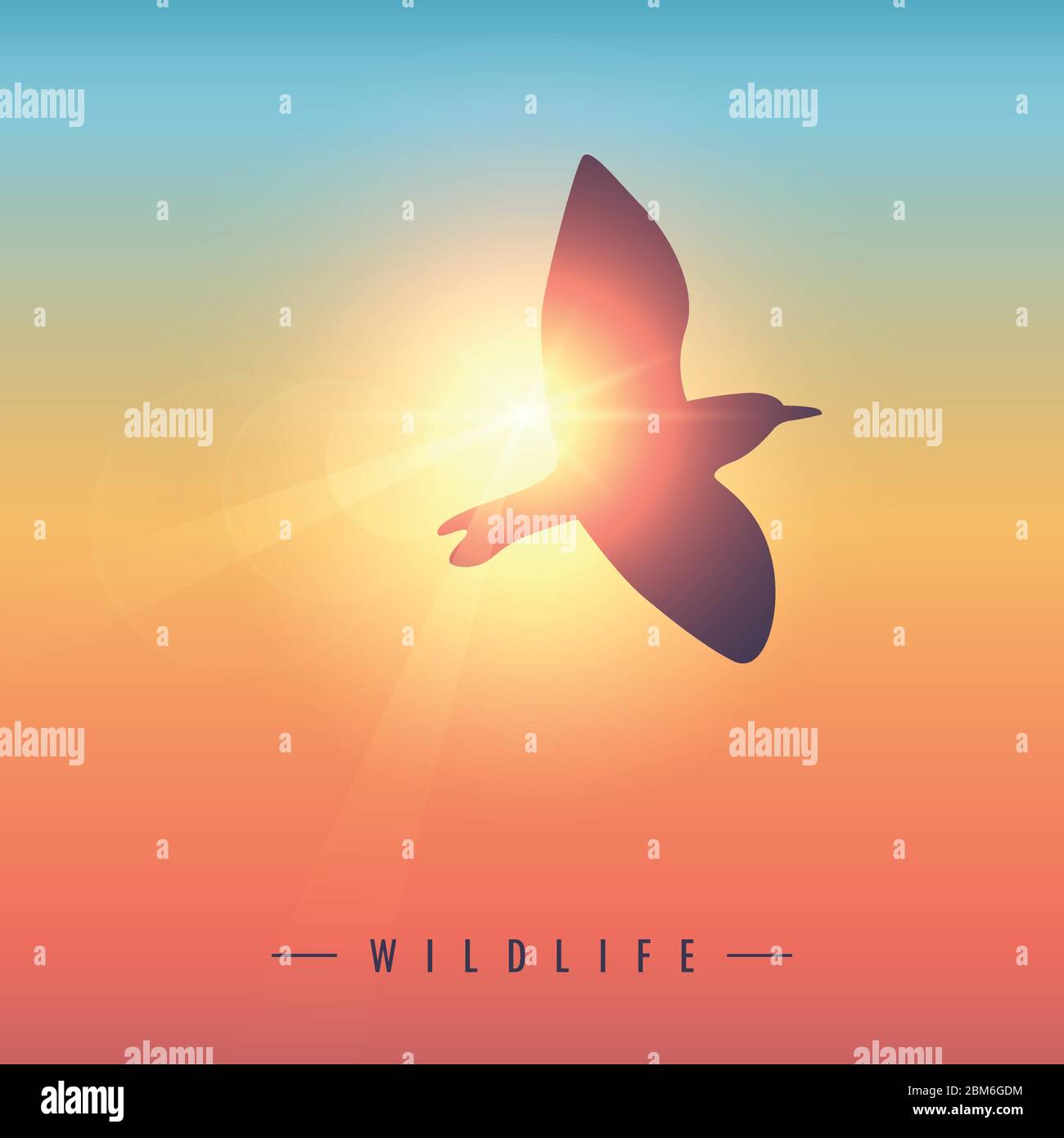 wildlife gull bird in sunny colorful sky vector illustration EPS10 Stock Vector