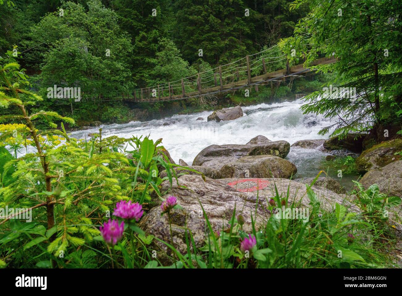 Hiking to the Reinbach Waterfalls over the Franziskus Path in Sand in Taufers South Tyrol Italy. Stock Photo