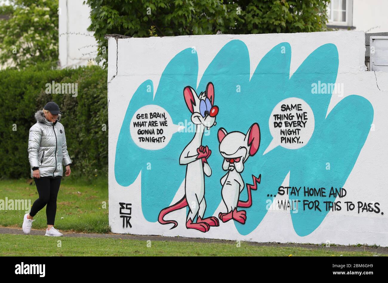 A woman walks past a new mural by Irish artist Emmalene Blake of cartoon characters 'Pinky and the Brain' in South Dublin. This is the latest in the 'Stay At Home' series by the Dublin artist encouraging people to stick to social distancing. Other artists featured have been Dua Lipa, Robyn and Cardi B. Stock Photo