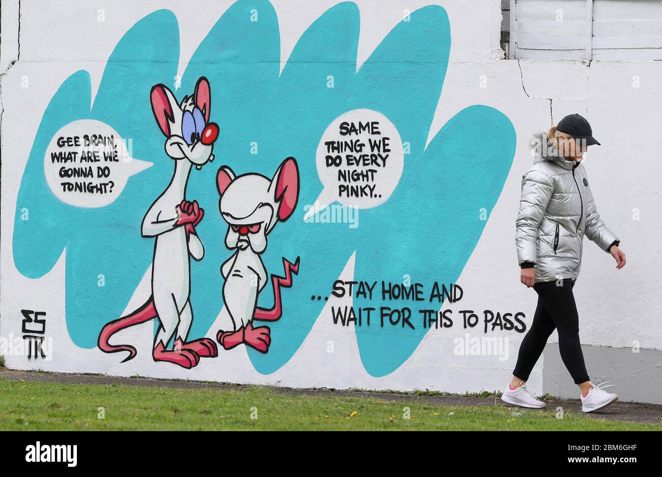 A woman walks past a new mural by Irish artist Emmalene Blake of cartoon characters 'Pinky and the Brain' in South Dublin. This is the latest in the 'Stay At Home' series by the Dublin artist encouraging people to stick to social distancing. Other artists featured have been Dua Lipa, Robyn and Cardi B. Stock Photo