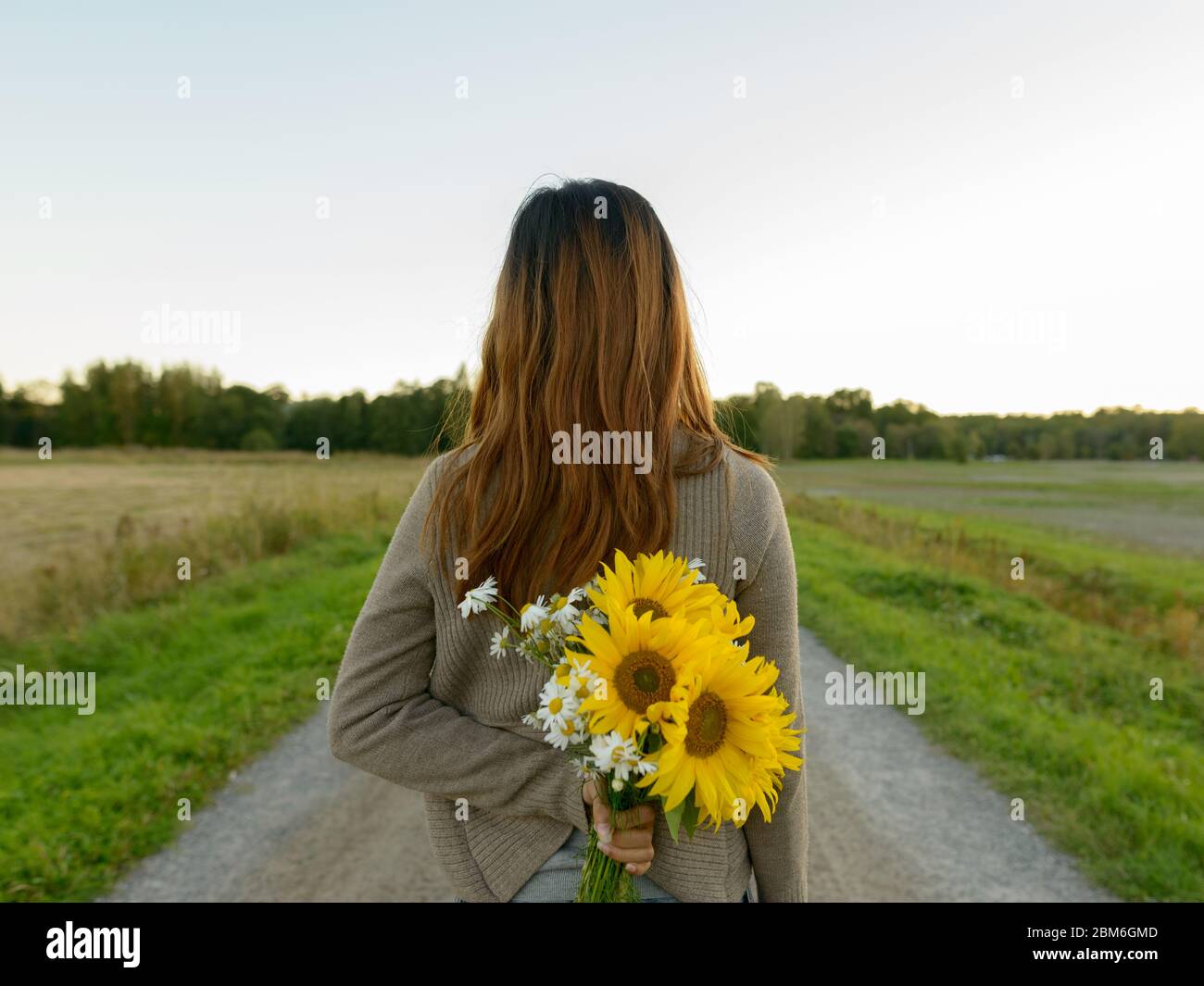 Rear view of young Asian woman holding sunflowers behind back in nature Stock Photo