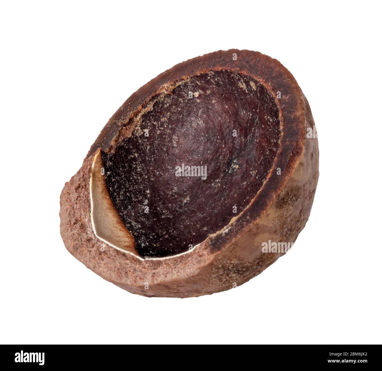 Macadamia nut on white background. Clipping path Stock Photo