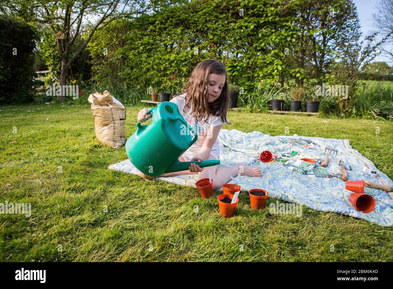 Little girl planting seeds and gardening in a garden, Kent, UK Stock Photo