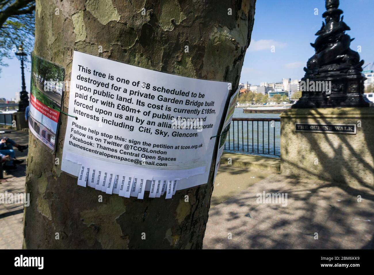 Notice on a tree calling for protesting against plans to destroy 38 trees on The Queens Walk on Southbank to make way for the London Garden Bridge Stock Photo