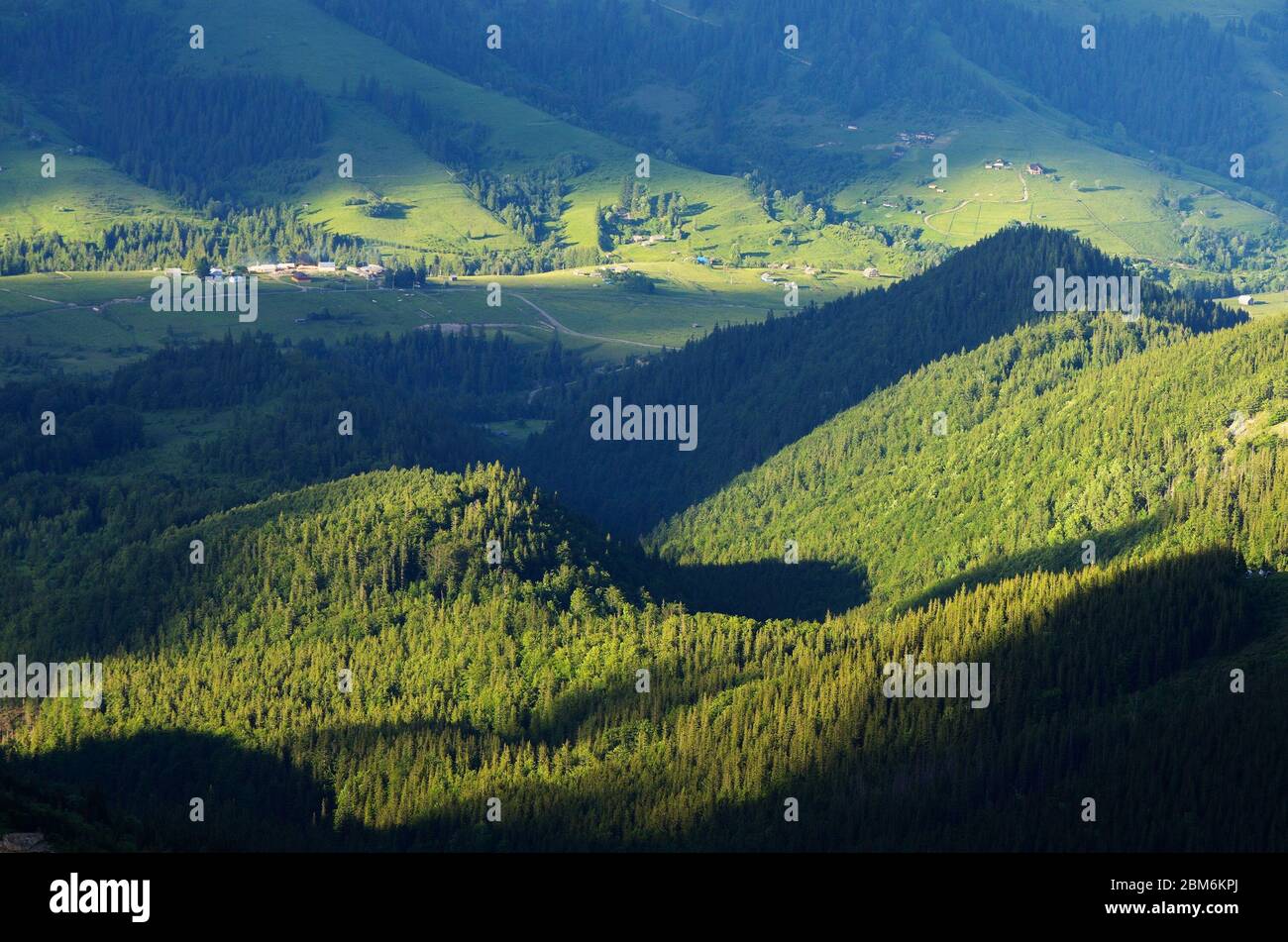 Summer landscape in green tones. Settlement in a mountain valley. Sunny evening. Dzembronya village, Carpathian, Ukraine, Europe Stock Photo