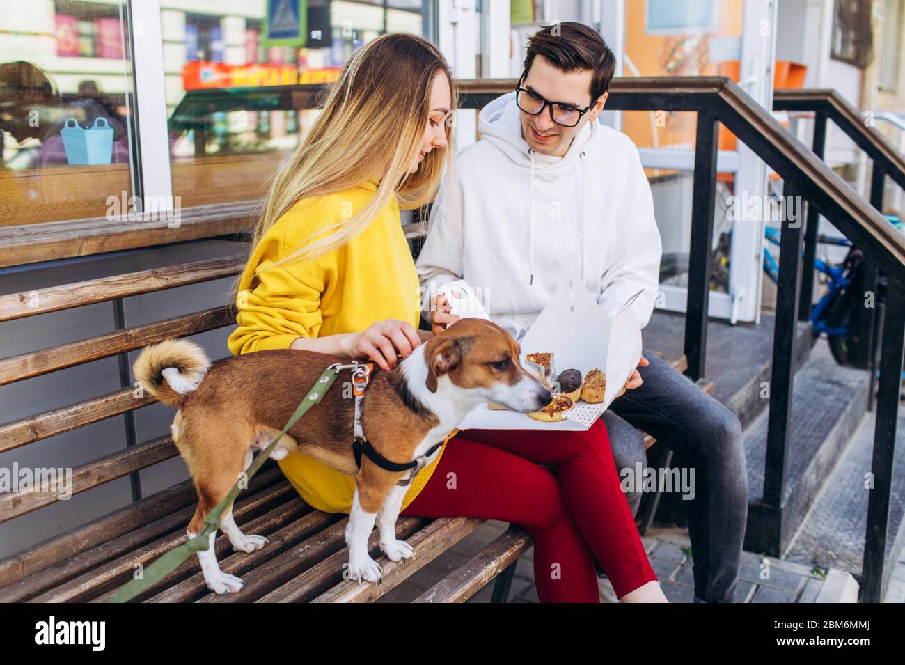 Dog owner on a park bench hi-res stock photography and images - Alamy