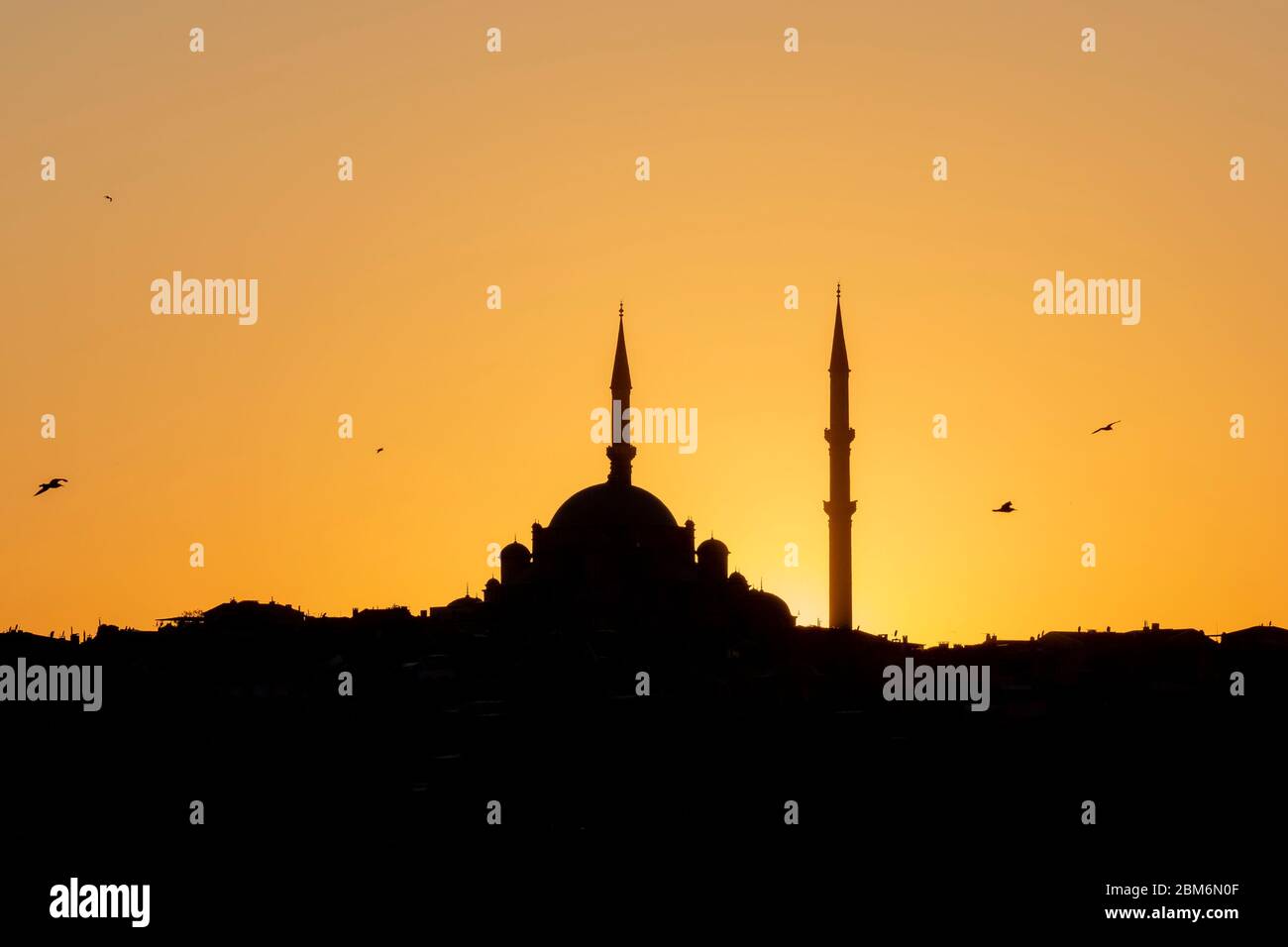 Yavuz Sultan Selim Mosque, Istanbil, Türkei Stock Photo