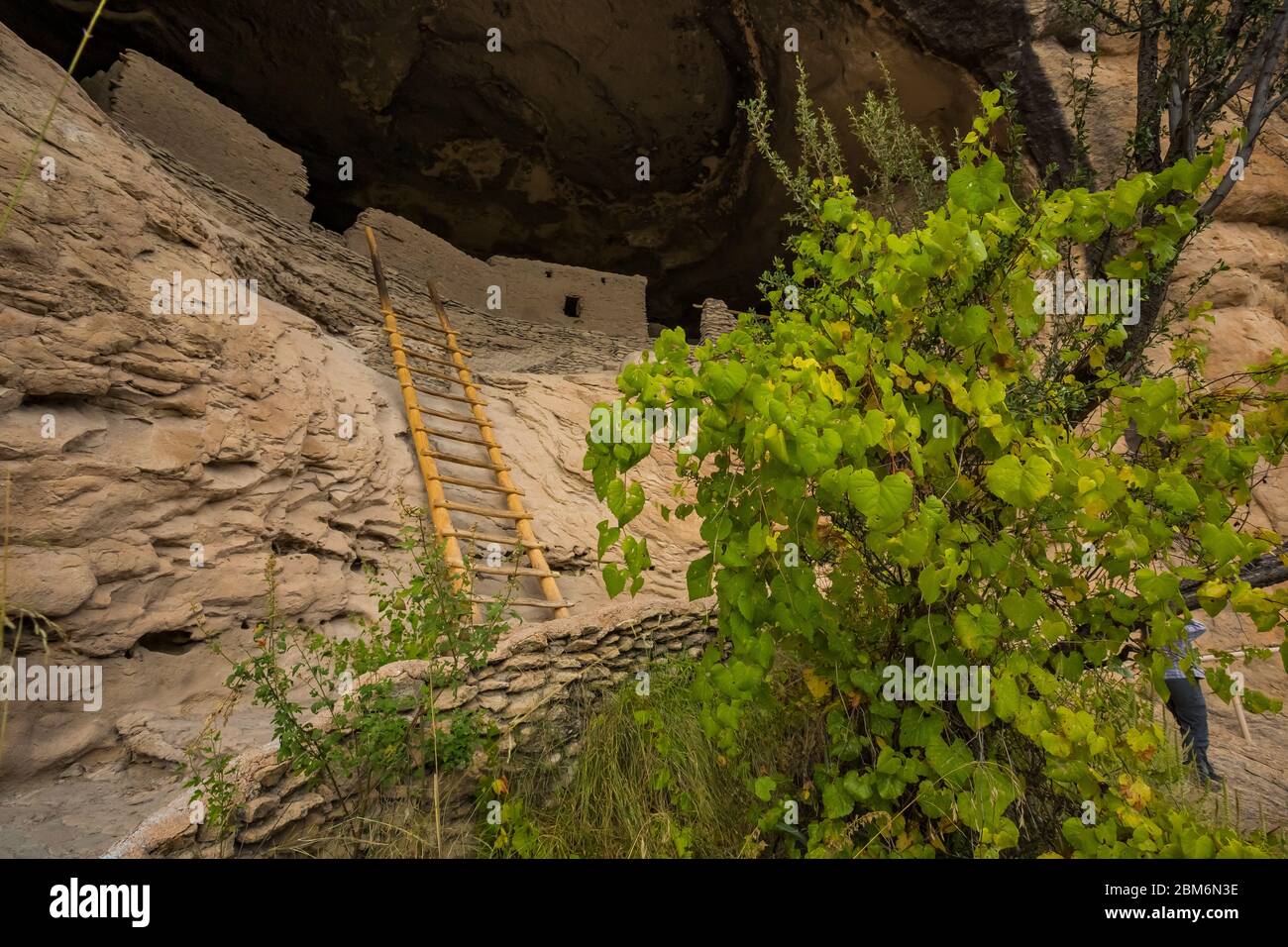 Cave cliff dwellings of ancient Mogollon Pueblo people in Gila Cliff Dwellings National Monument, New Mexico, USA Stock Photo