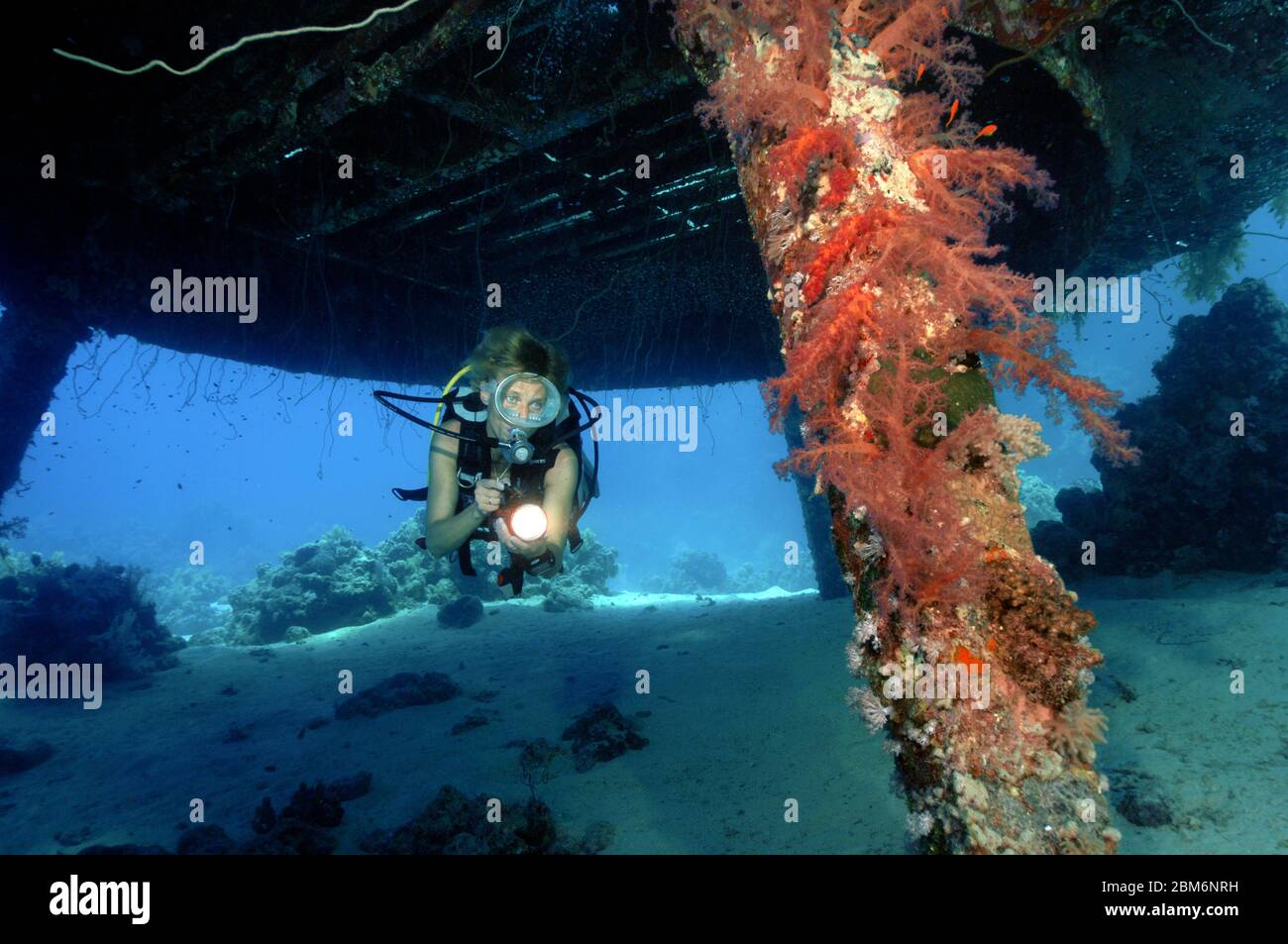 Taucher unter Eingang in Unterwasserhaus von Unterwassersiedlung von Jacques Yves Cousteau, Precontinent II, Rotes Meer, Shab Rumi, Sudan, Afrika Stock Photo