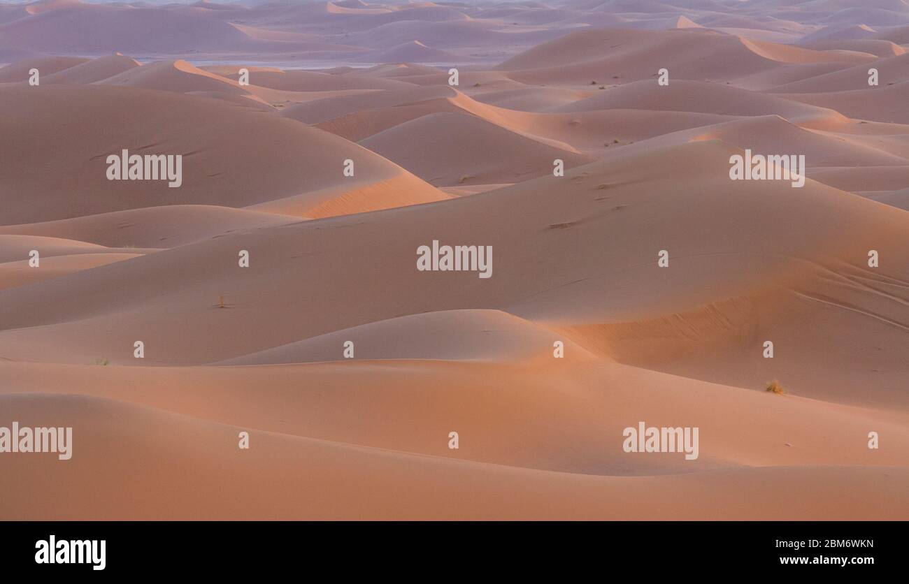 Sanddünen, Erg Chigaga, Sahara, Marokko Stock Photo