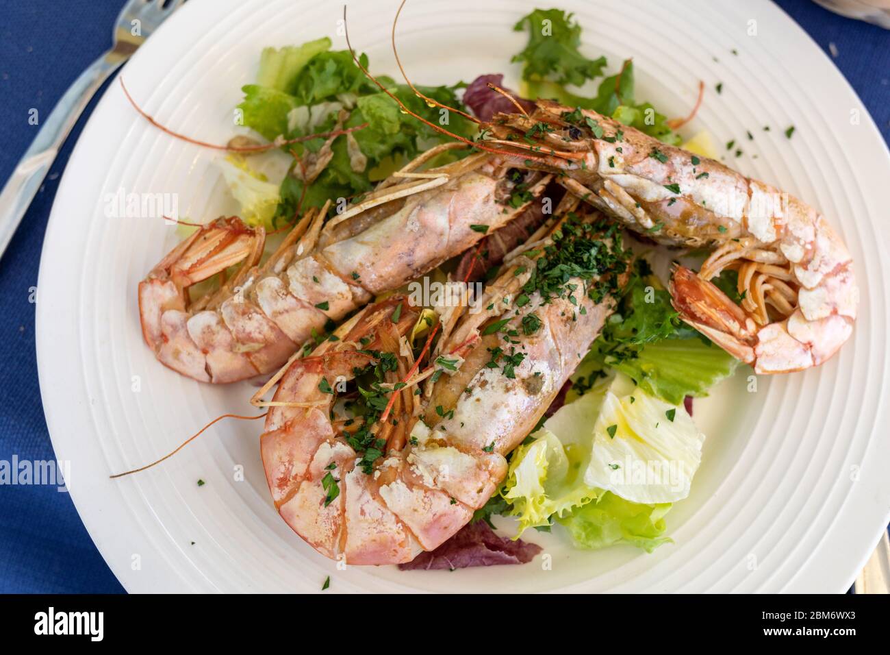 fried big shrimps with lettuce on white plate Stock Photo