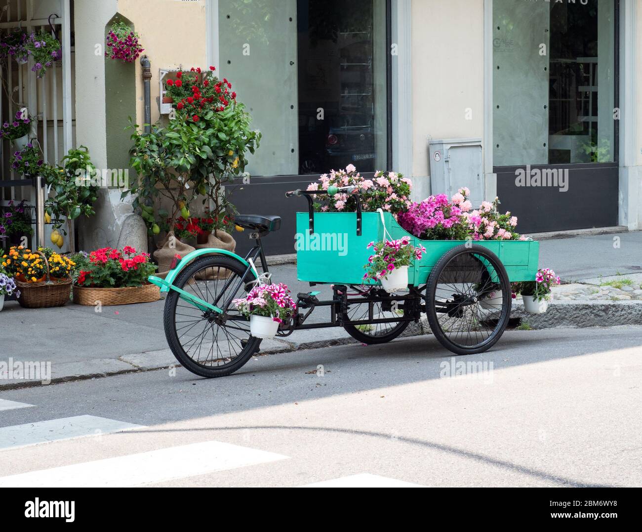 colorful flowers displayed on a green pedal cart Stock Photo