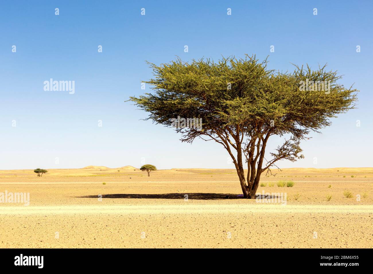 Wüste bei Erfoud, Sahara, Marokko Stock Photo