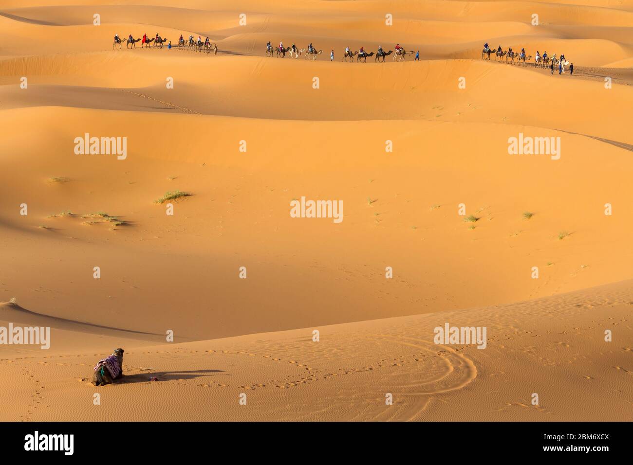 Sanddünen Wüste bei Erfoud, Sahara, Marokko Stock Photo