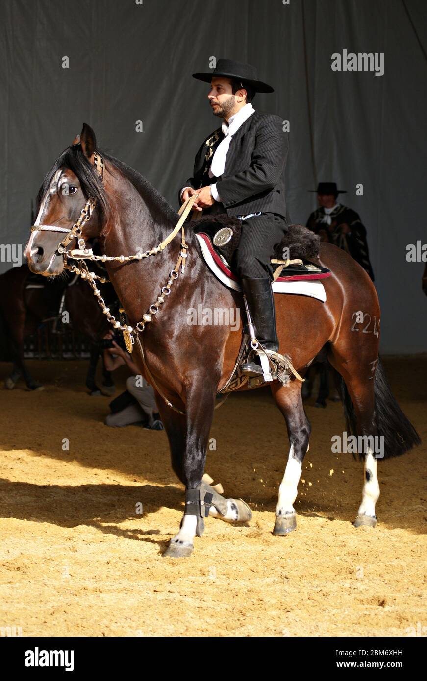 Gaucho in traditional outfit riding a criollo horse in the dark Stock Photo