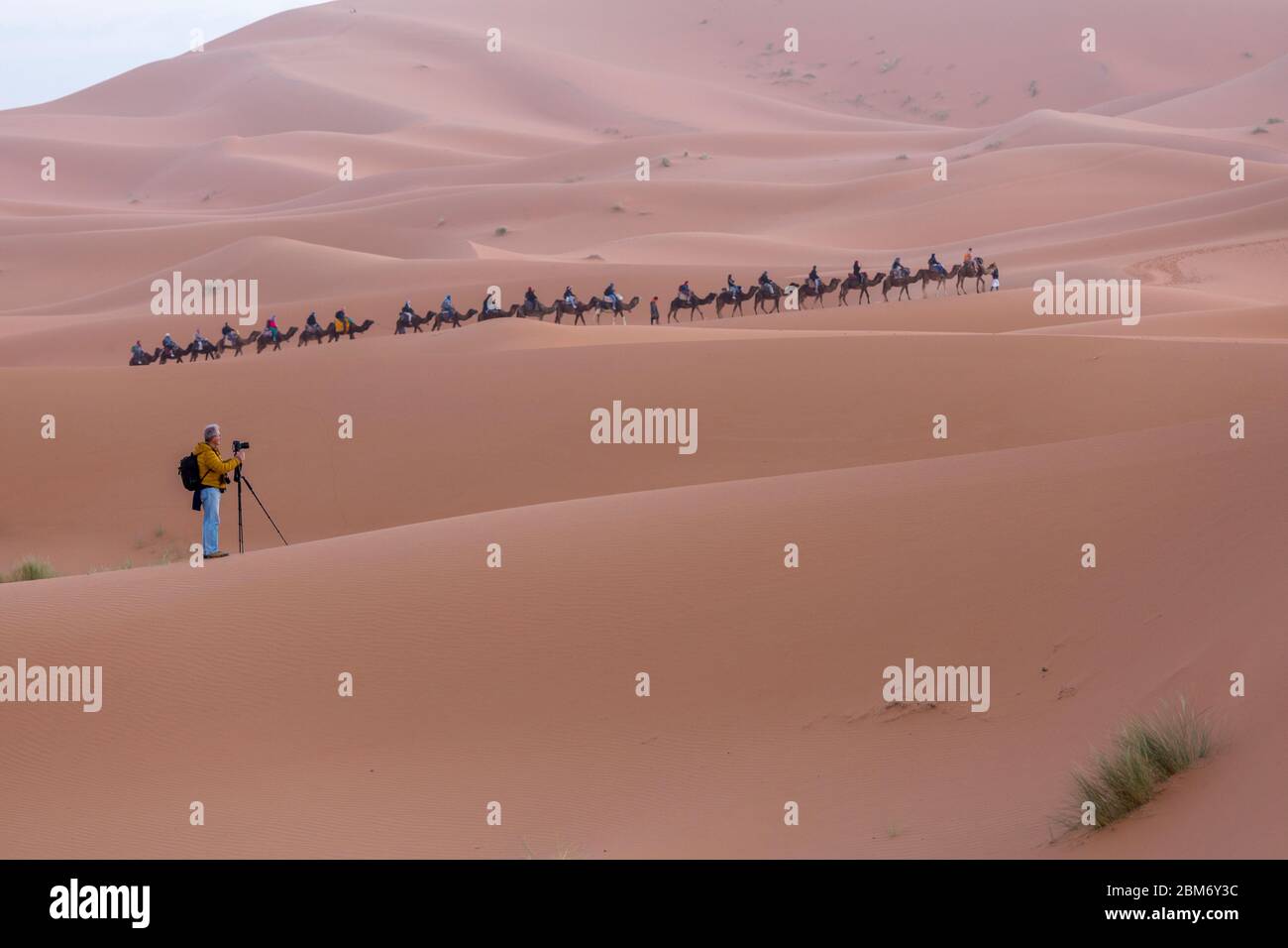 Sanddünen, Erg Chebbi, Merzouga, Marokko Stock Photo