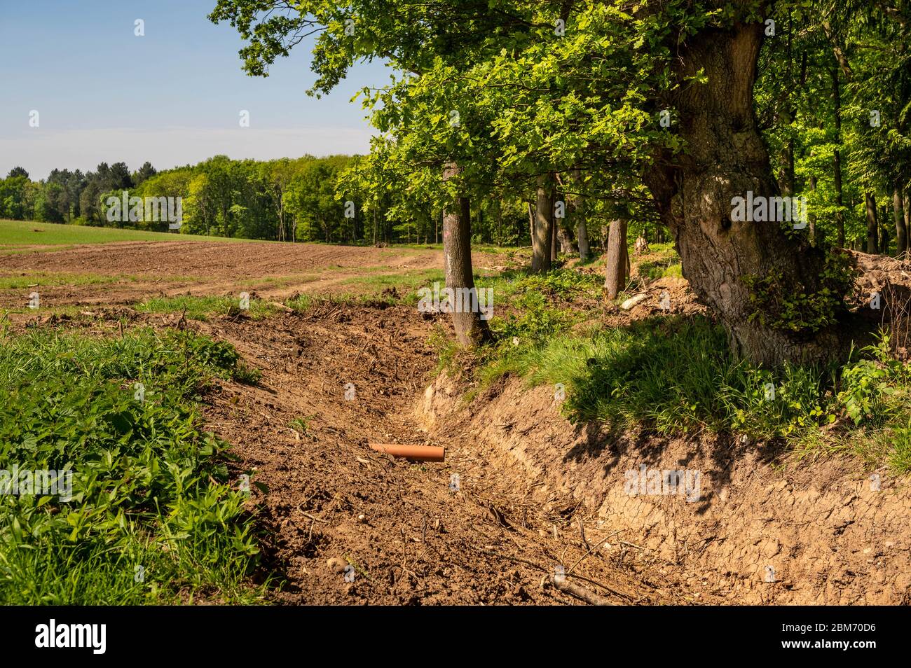 Drainage ditch near trees at edge of field. Stock Photo