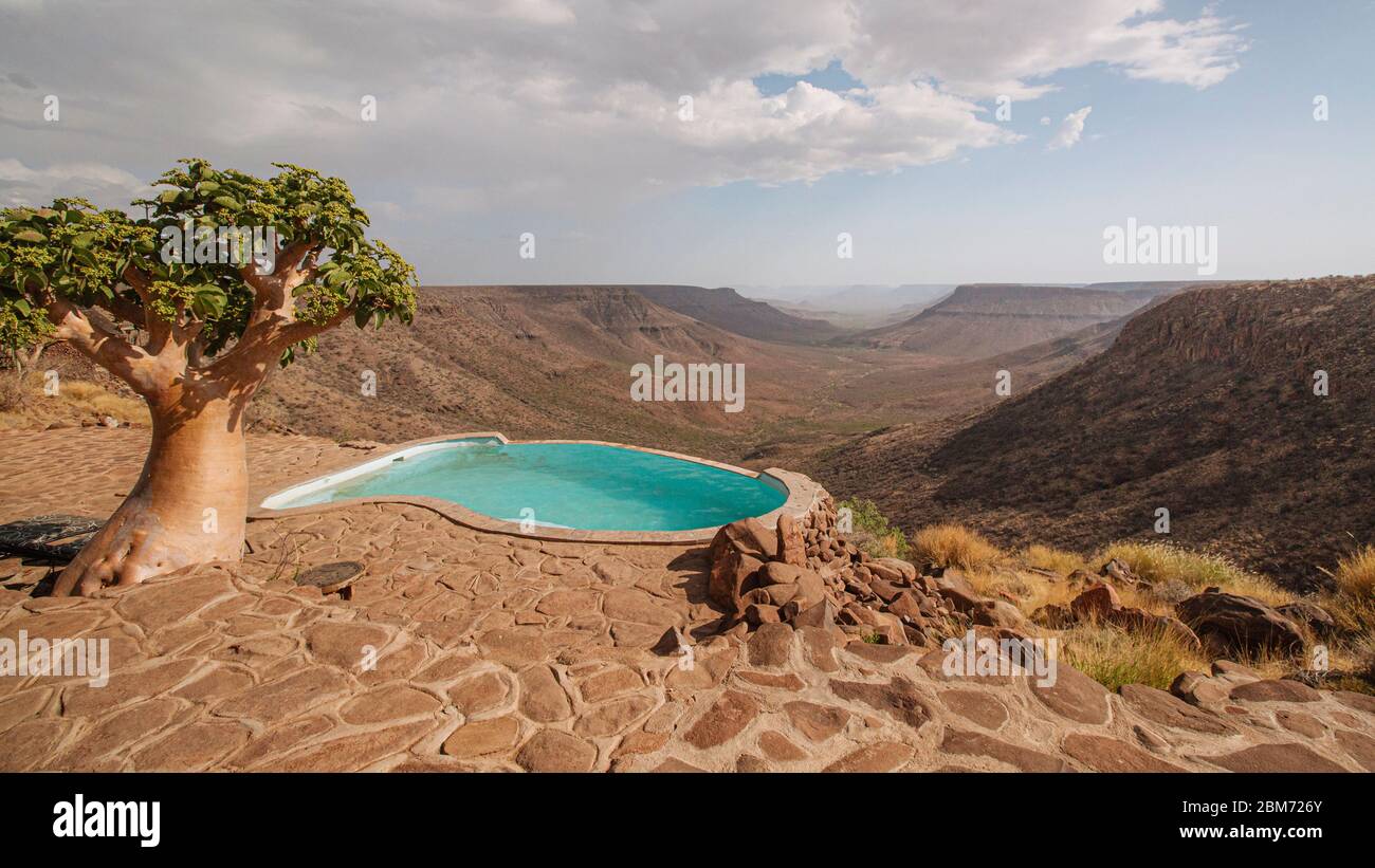 Namibia, Kunene region, Damaraland, Grootberg plateau overlooking the Klip river valley, Cyphostemma currorii and Grootberg lodge pool Stock Photo