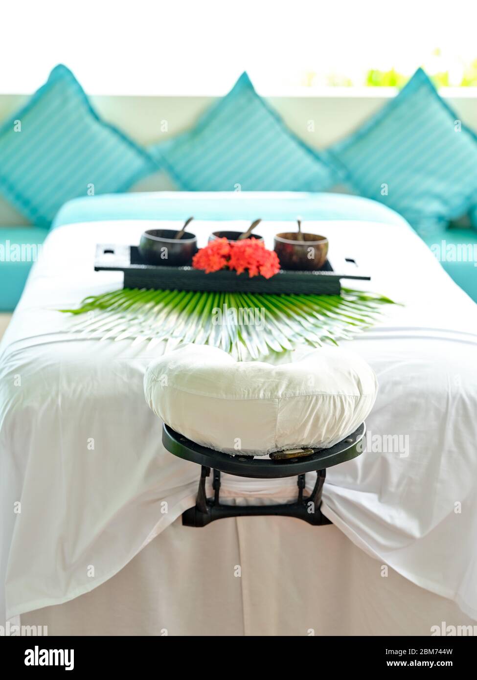 Pillows for massage therapists sales