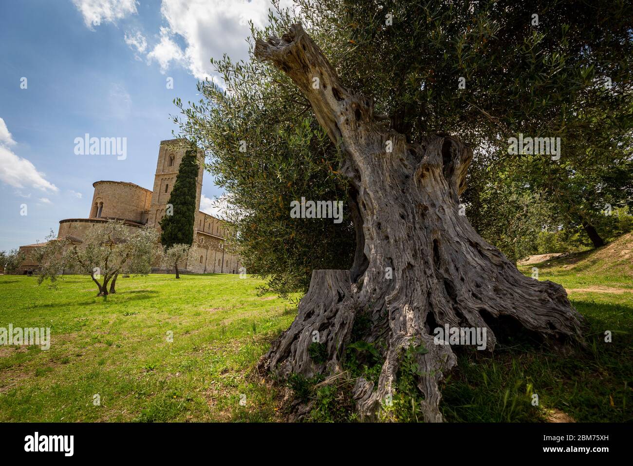 Die Abtei Sant’Antimo liegt ca. 1 km nördlich von Castelnuovo dell’Abate in der toskanischen Provinz Siena, Italien und ist eine Kanonie der Prämonstr Stock Photo