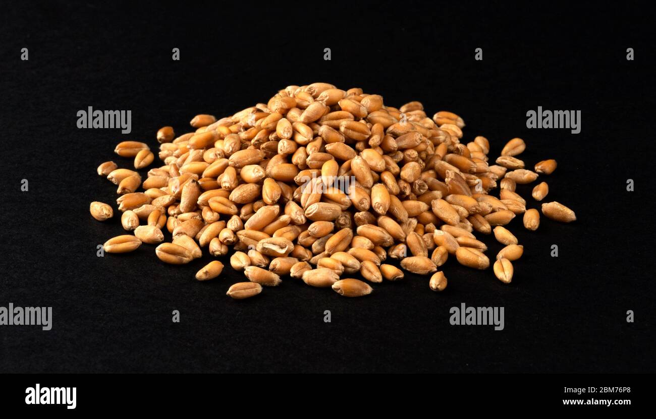 Close up grains wheat hi-res stock photography and images - Alamy
