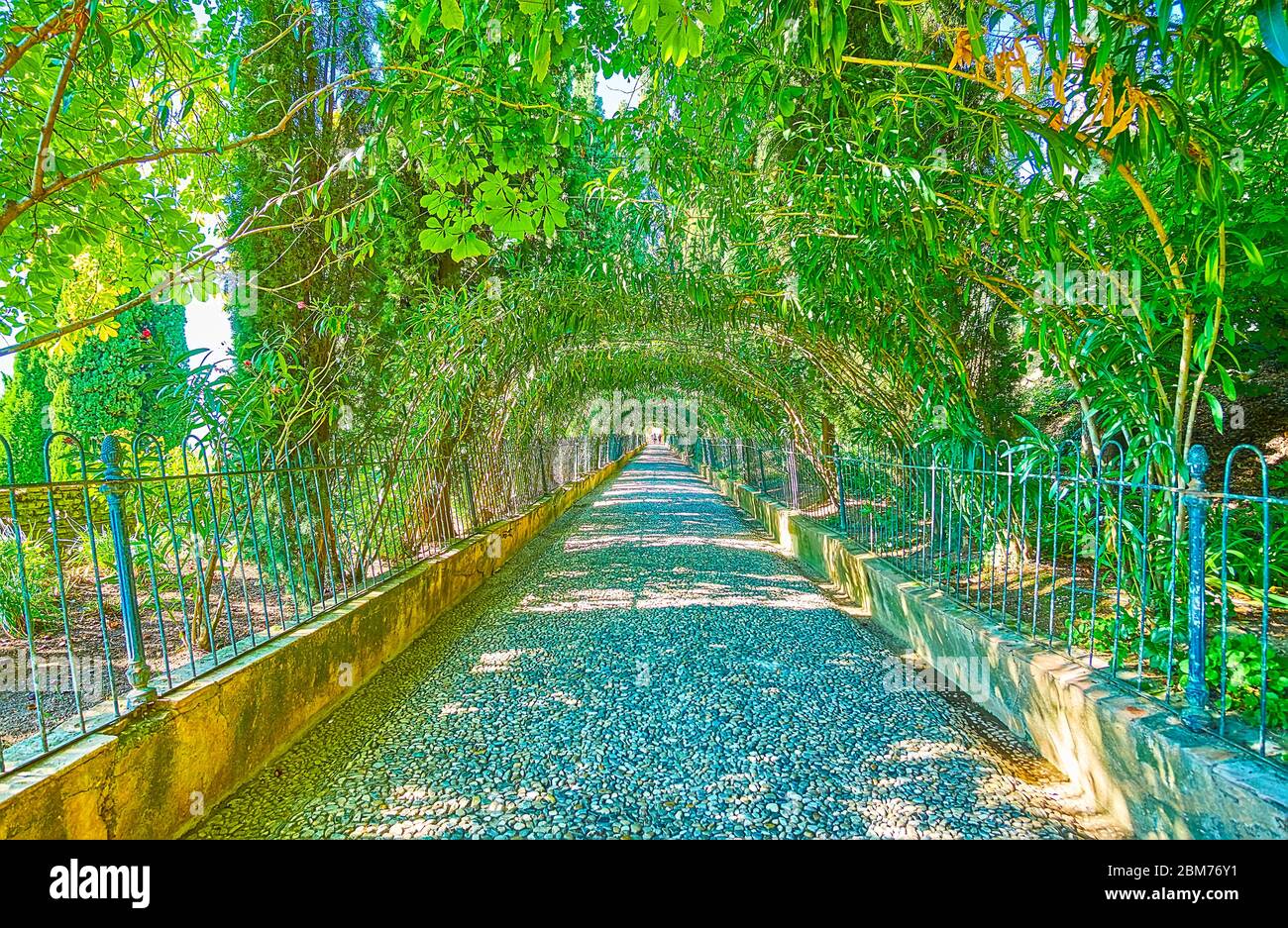 Tne narrow alleyway of Alhambra park with green arch and lush shady trees, Granada, Spain Stock Photo