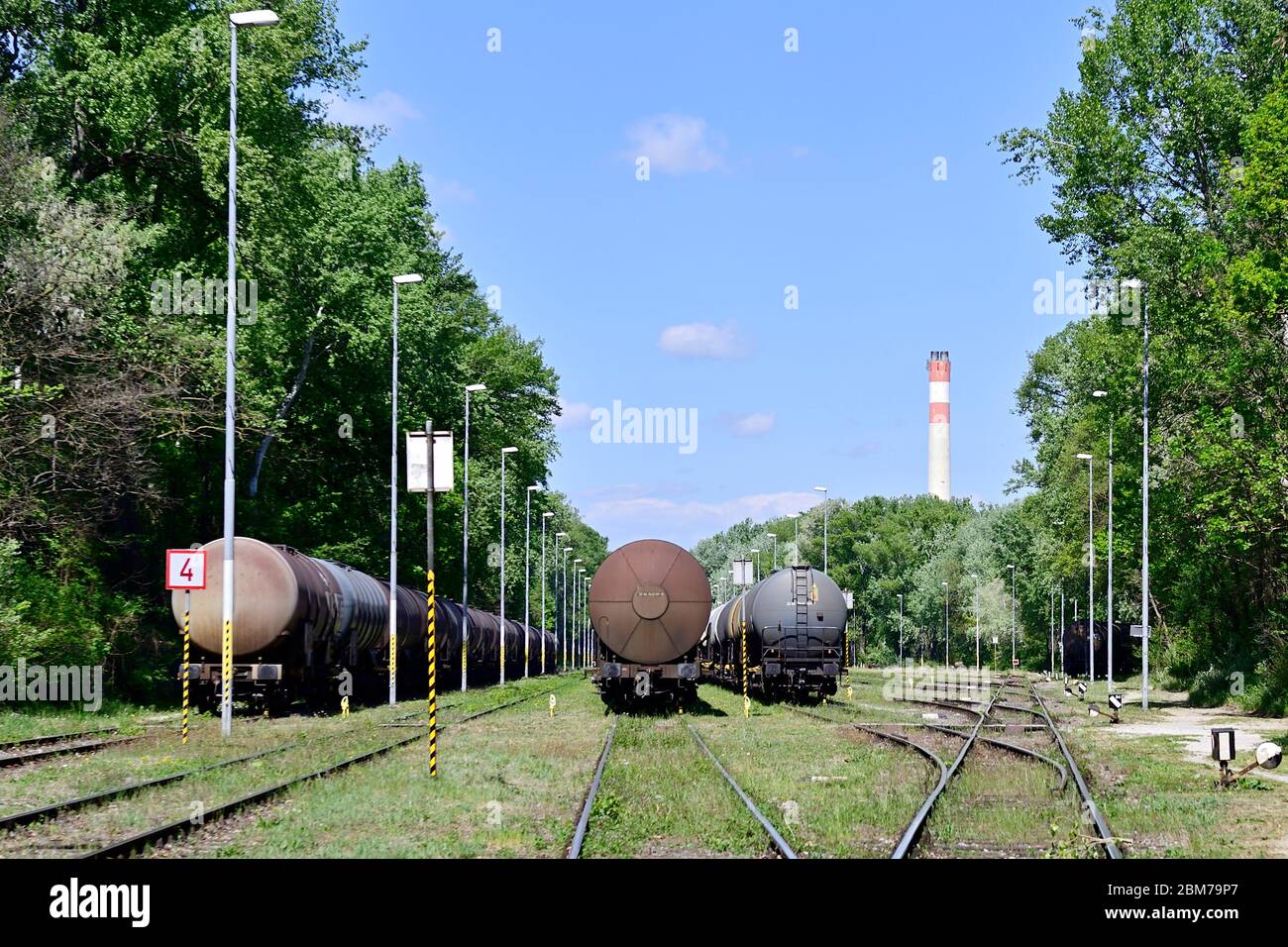 Vienna, Austria. Nationalpark Donau-Auen, the Lobau. Stock Photo