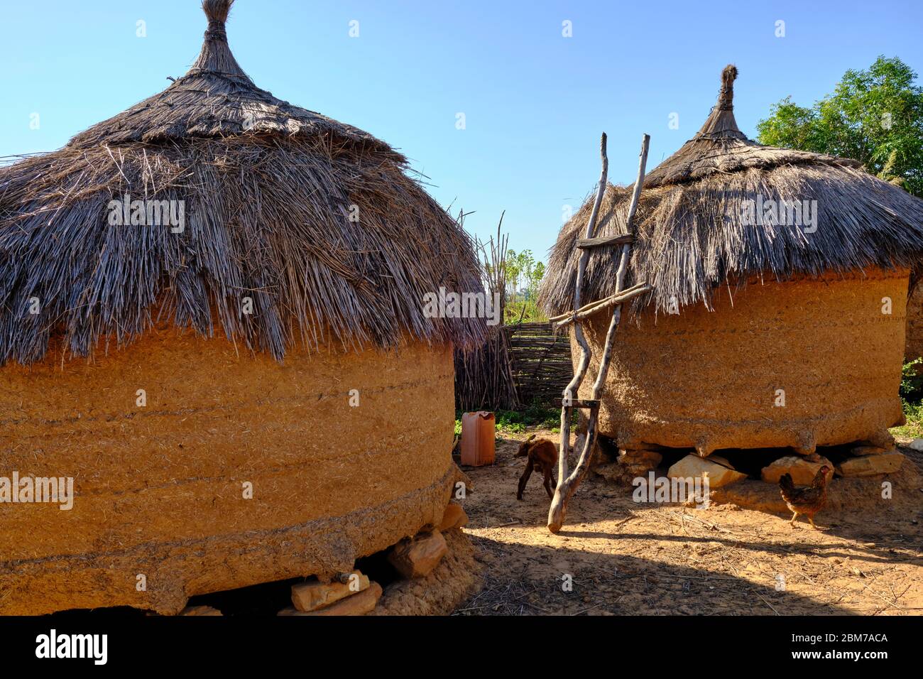 Thatched mud huts in a remote Nigerian village Stock Photo - Alamy