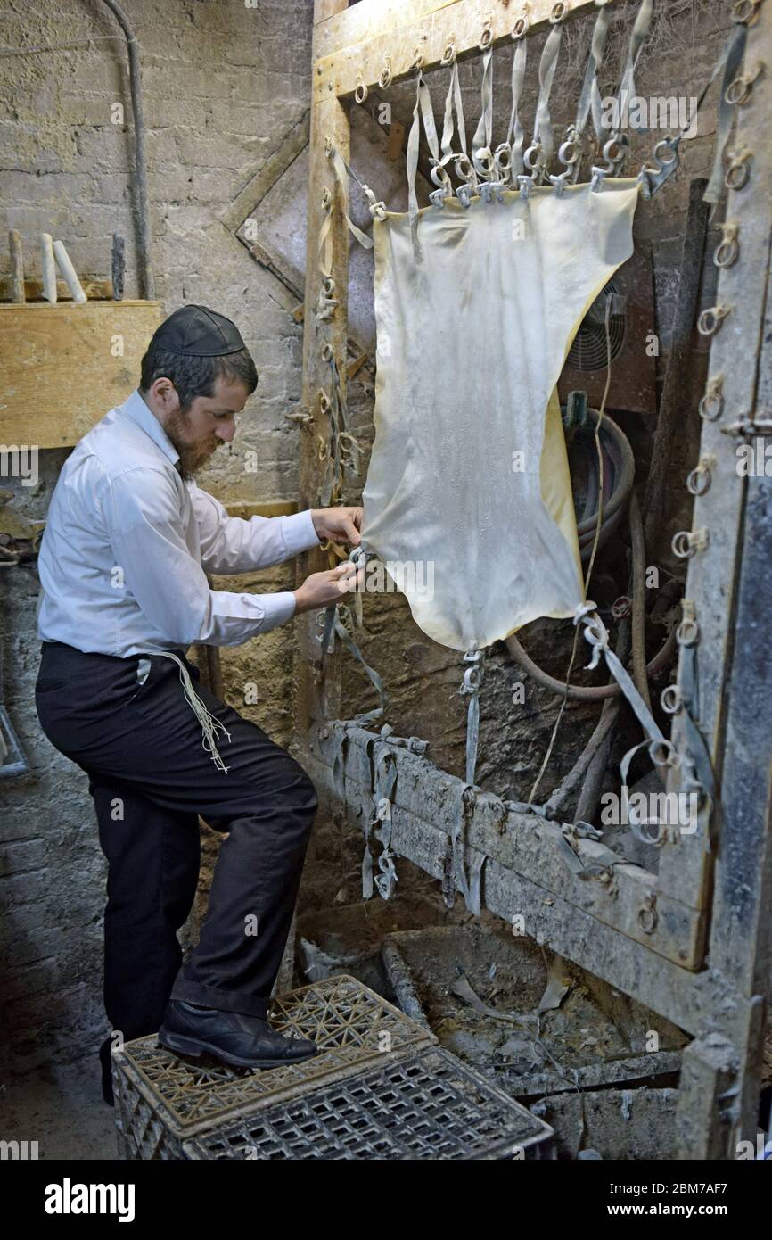 A Rabbi and master craftsman makes parchment in his basement to be used for religious articles. In Brooklyn, New York. Stock Photo