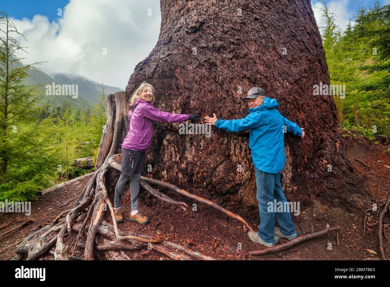 Couple showing scale and circumference of Big Lonely Doug Douglas fir tree-Second tallest tree in Canada-Port Renfrew, British Columbia, Canada. Stock Photo