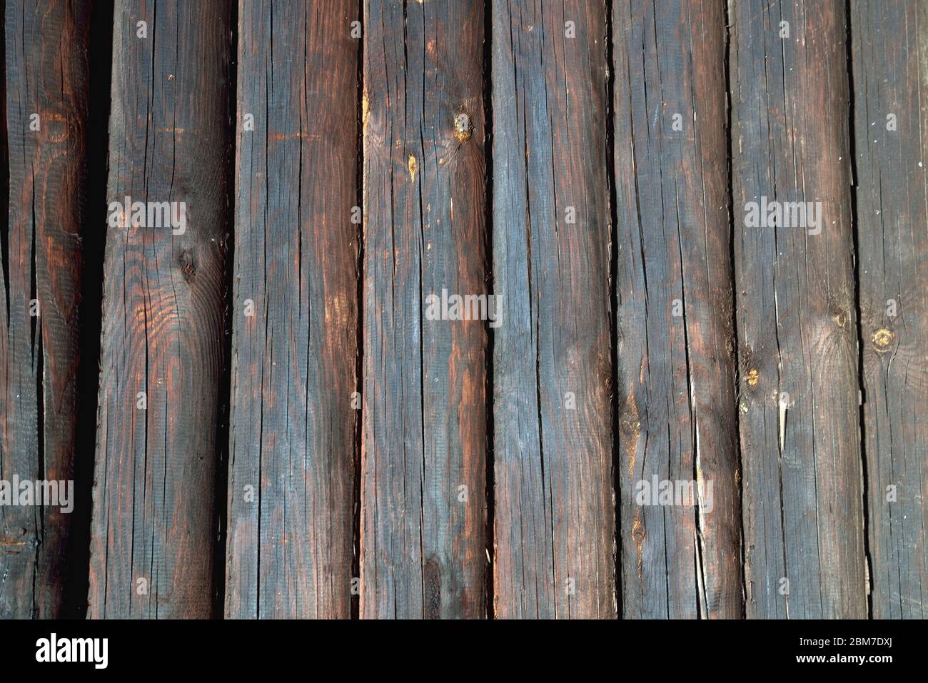 Riund And Brown
