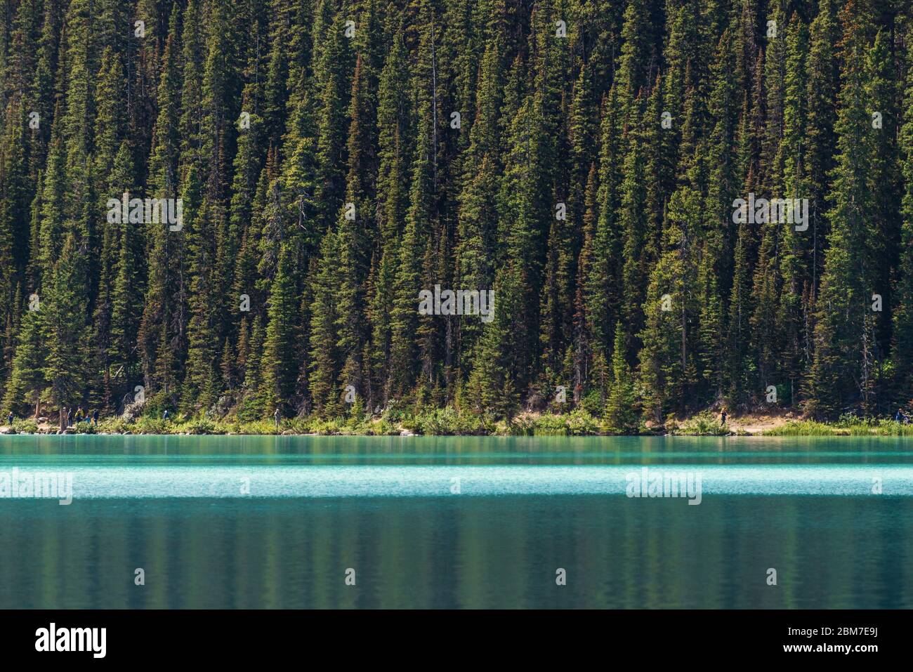 Search intellectual property databases - Canada