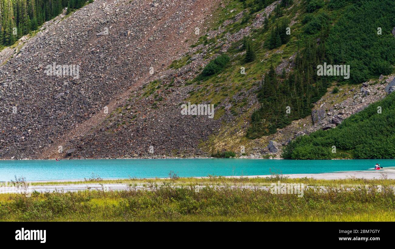 Canadian Trademarks Database - Help