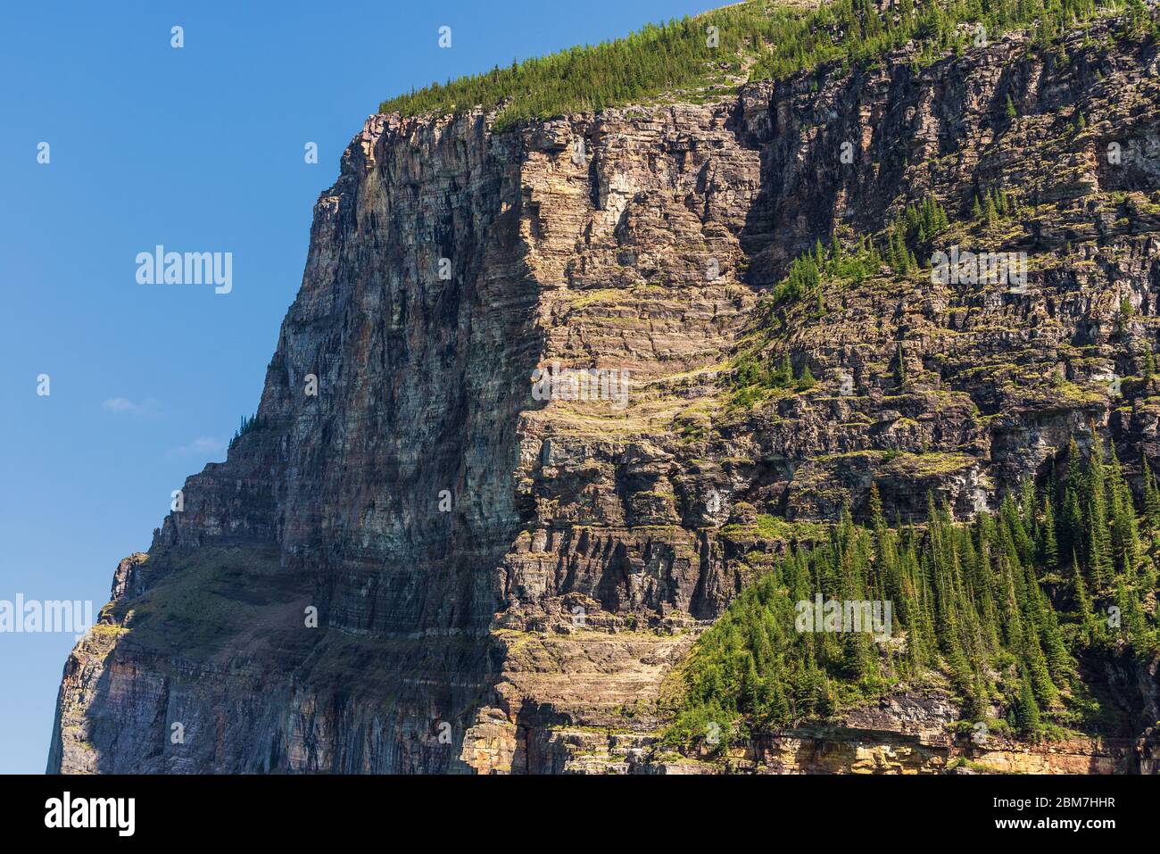 Intellectual property and copyright - Canada.ca